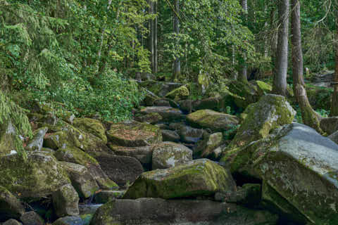 Gemeinde Waldkirchen Landkreis Freyung-Grafenau Saußbachklamm (Dirschl Johann) Deutschland FRG